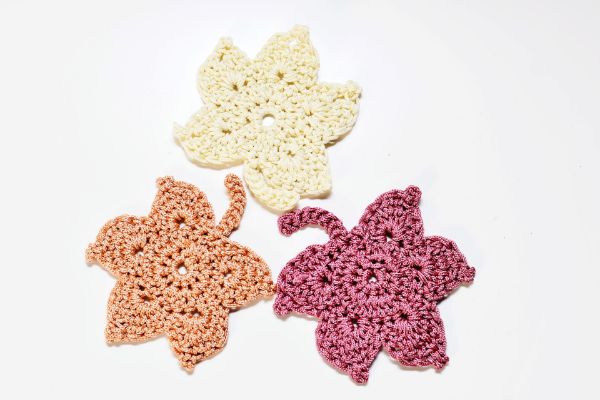 Obrazek Liście klonu